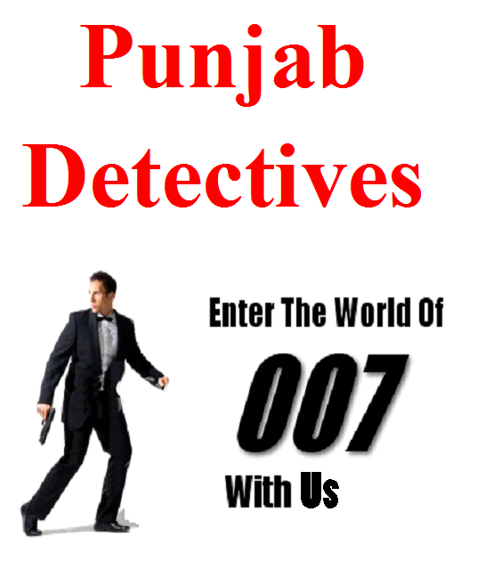 punjab Detectives